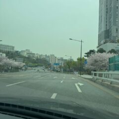 안전이 최우선인 강사님