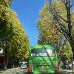 울산운전연수 끝나고 바로 출퇴근 시작