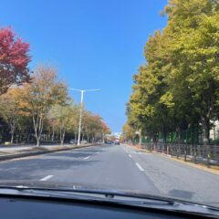 오산운전연수 가성비 최고 후기